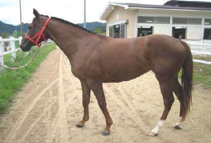 ��ﰢ ����