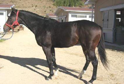 �ΰ����� ����