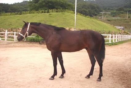 ��� ����