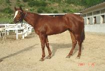 �����۷��̵� (YEONSEUNG PARADE) ����