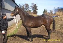 �γ��� (DUNAMJAE) ����