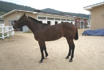 �׷��彽�� ����