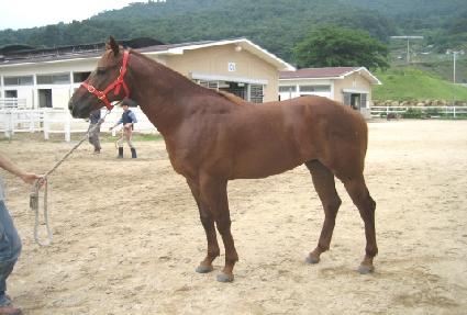 ���尣 ����