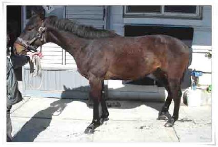 �¸��̿��� ����