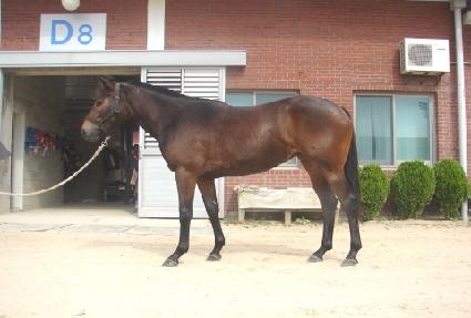 ���̸ӽ� ����