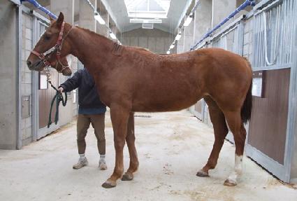 ��ġ�������� ����