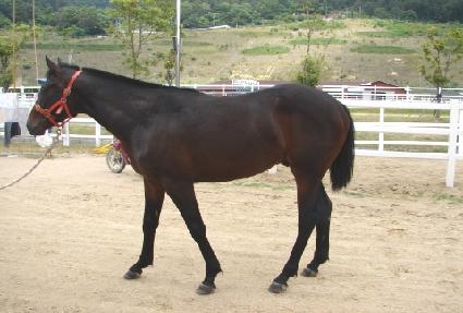 ���ǵ�ְ� ����