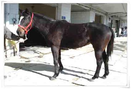 ȭ���ѽð� ����