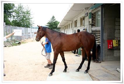 ���Ѻ��� ����