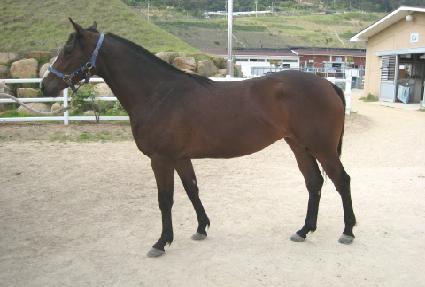 �ݺ��ʰ� ����