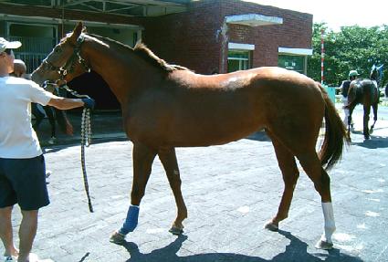 ���ϳ� ����