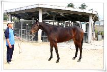 ���ְ� (CHARMING GIRL) ����