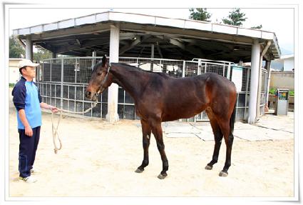 ���ְ� ����