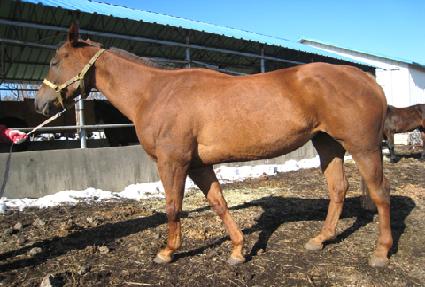 ����Ʈ ����