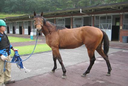 ��Ʈ��Ʈ�� ����