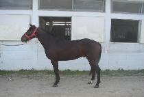 �̶�Ŭ�÷��� (MIRACLE PLAY) ����