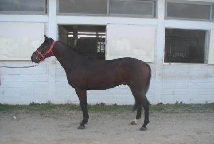 �̶�Ŭ�÷��� ����