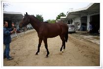 Ȳ�� (HWANGSAN) ����