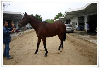 Ȳ�� ����