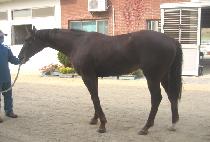 �뼺ȣ (DAE SEONG HO) ����