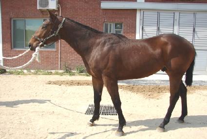 ����ĸƾ ����