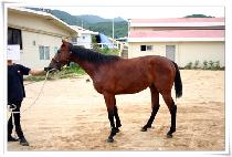 �ұ��� (BUL GWANG DO) ����