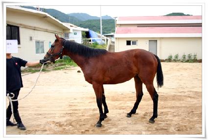 �ұ��� ����