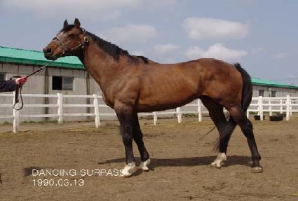 ���̼��н� ����