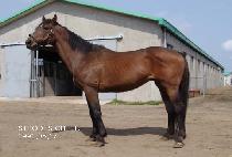 STRODES CREEK picture