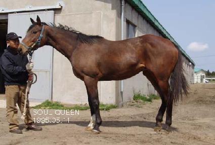 ���� ����