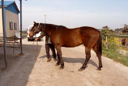 �÷���Ʈ�ŵ����� ����