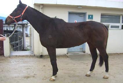 ���Ÿ�̰� ����