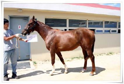 ��ǿ��� ����