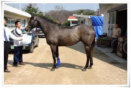 ��Ǻ��� ����