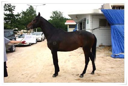 ��Ƕ��̾� ����