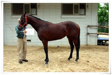 ȣ�����ص�Ƴ� ����