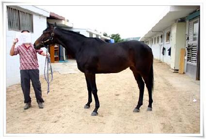 �������� ����