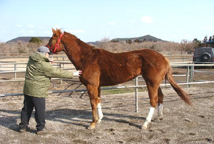 �����ǰ��� ����