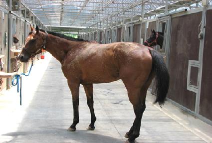 ��󺸺���ø� ����