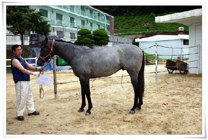 �׷��̽�ī�̸�� ����