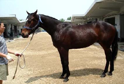 ���̿��� ����