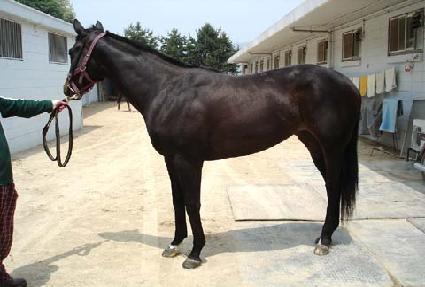 �ĳ׶� ����