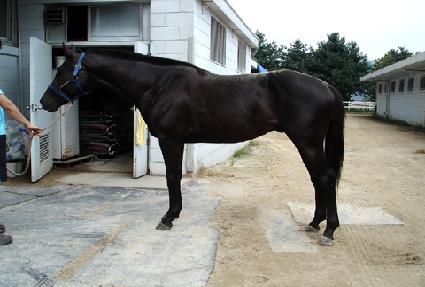 �һ� ����