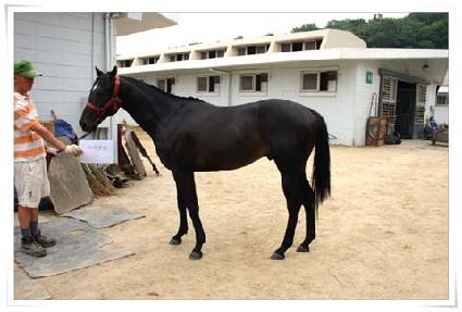 �����ŷ ����