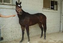 ��ũ������� (SECRET SHOES ON) ����