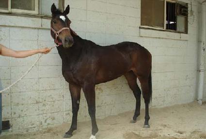 ��ũ������� ����