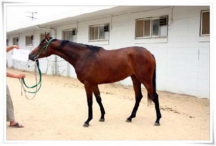 ����è�Ǿ� ����