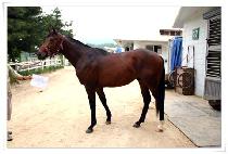 ĳ��������Ĩ�� (CASH IN YOUR CHIPS) ����