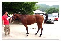 �ý�Ÿ���� (ALL STAR DAY) ����