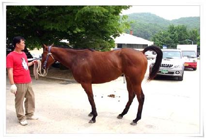 �ý�Ÿ���� ����